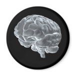 I got brains! magnet