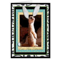 I got Hare Extensions. Greeting Cards