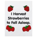 I harvest strawberries to fall asleep flyers