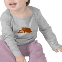 I has a flavour, LOL CAT Shirts