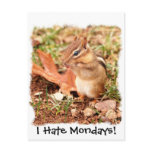 I Hate Mondays! Chipmunk postcards