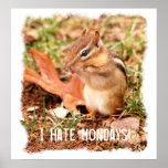 I Hate Mondays Chipmunk Poster posters