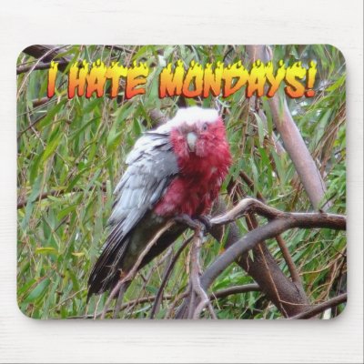 I Hate Mondays Mousepads by Jade379