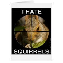 I Hate Squirrels - In the Scope - Card