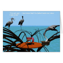 I hate Sushi Greeting Card