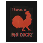 I Have A Big Cock! flyers