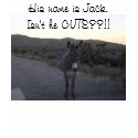 I have a really CUTE LITTLE ASS!  Wanna see...? t-shirts