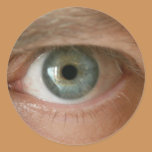 i have an eye for art stickers