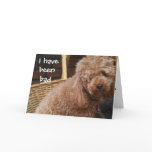 I HAVE BEEN BAD-BELATED BIRTHDAY cards