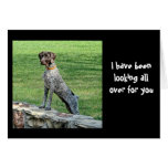 I have been looking all over for you cards