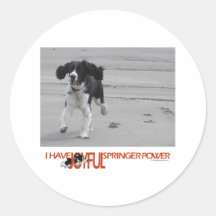 I Have Joyful Springer Power Customise With Photo Stickers