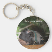 I have minis waiting... keychain