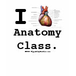 I Heart Anatomy Class t-shirts