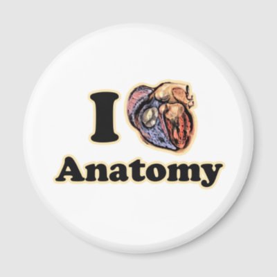 Geek Anatomy