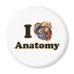 I heart Anatomy Science Super Geek Teacher magnets