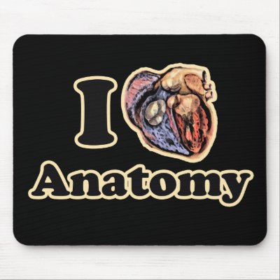 I heart Anatomy Science Super Geek Teacher Mouse Mat by EllesBaby