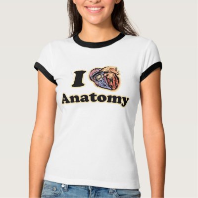 I heart Anatomy Science Super Geek Teacher Shirts by EllesBaby