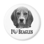 I Heart Beagles with Beagle Portrait Magnets