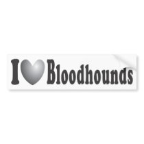 I Heart Bloodhounds - Bumper Sticker