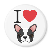 I Heart Boston Terriers Magnets
