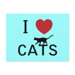 i heart cats postcards