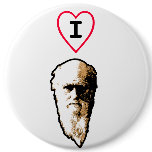I Heart Darwin buttons