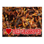 I Heart Fried Grasshopper Postcard