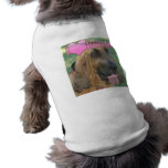 I "heart" Jersey Joe pet clothing