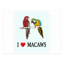 I "heart" Macaws Post Card