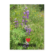 I Heart Minnesota postcards