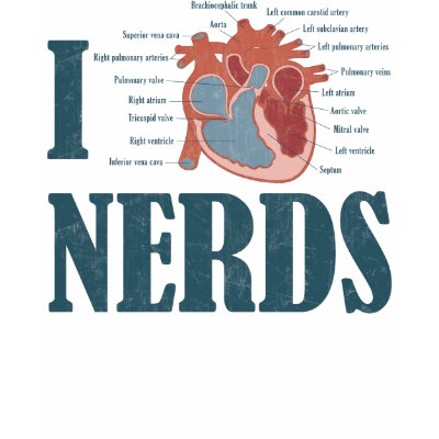 I Heart NERDS Shirts by 220clothing