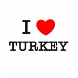 I HEART TURKEY t-shirts