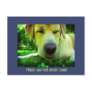I hope you feel better soon! post cards