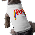 I Invented Gay pet clothing