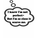I know I'm not perfect...Ladies T-shirt