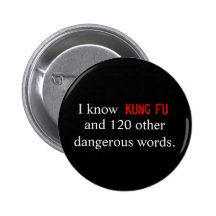 I know Kung Fu and 120 other dangerous words. Pin