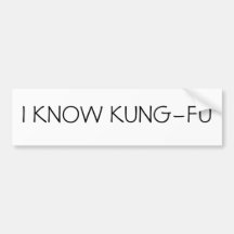 I KNOW KUNG-FU BUMPER STICKER