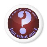 I know you are, but what am I? magnets