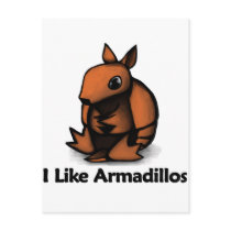 I Like Armadillos
