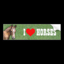 I like Horses bumper stickers
