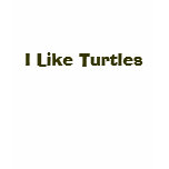 I Like Turtles t-shirts