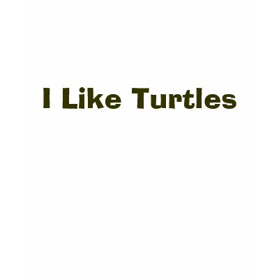 I Like Turtles T Shirt by bguertner