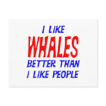 I Like Whales Better Than I Like People Postcard