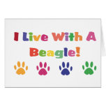 I Live With A Beagle Greeting Card