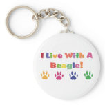 I Live With A Beagle Key Chain