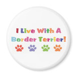 I Live With A Border Terrier Magnets