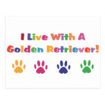 I Live With A Golden Retriever Postcard