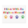 I Live With An Afghan Hound Postcard