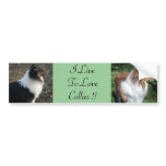 I LiveTo LoveCollies !! bumper stickers