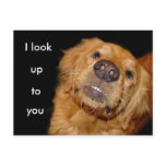 I look up to you post card